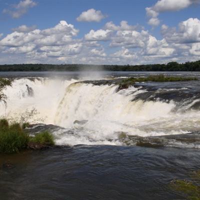 bob·体育综合appapp下载